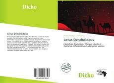 Copertina di Lotus Dendroideus