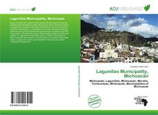 Buchcover von Lagunillas Municipality, Michoacán