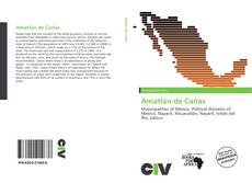 Copertina di Amatlán de Cañas