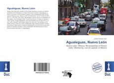 Bookcover of Agualeguas, Nuevo León