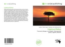 Bookcover of Lupinus Elatus