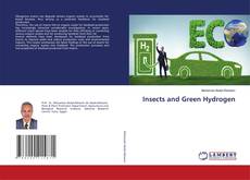 Copertina di Insects and Green Hydrogen
