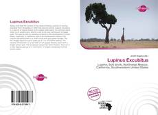 Borítókép a  Lupinus Excubitus - hoz