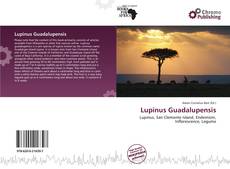 Copertina di Lupinus Guadalupensis