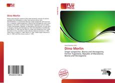 Dino Merlin的封面
