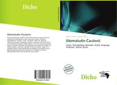 Обложка Džemaludin Čaušević