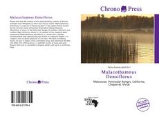 Buchcover von Malacothamnus Densiflorus