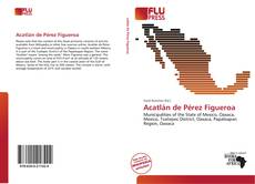 Acatlán de Pérez Figueroa的封面