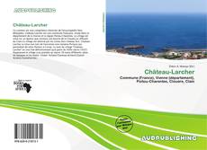 Portada del libro de Château-Larcher