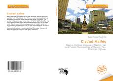 Buchcover von Ciudad Valles