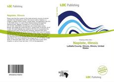 Buchcover von Naplate, Illinois
