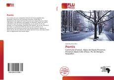 Pontis kitap kapağı