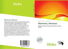 Bookcover of Montrose, Arkansas