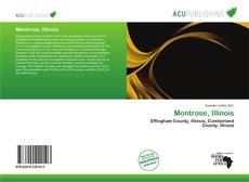 Montrose, Illinois的封面