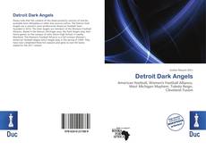 Bookcover of Detroit Dark Angels