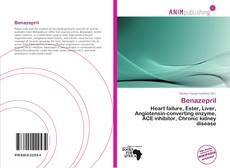 Couverture de Benazepril