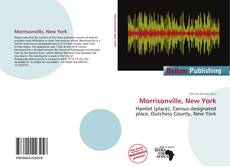 Morrisonville, New York的封面