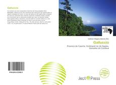 Couverture de Galluccio