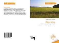 Bookcover of Bourneau