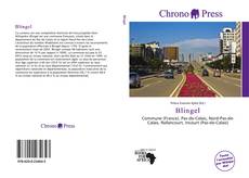 Buchcover von Blingel