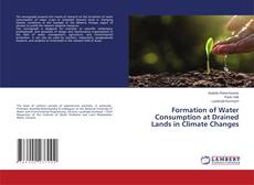Buchcover von Formation of Water Consumption at Drained Lands in Climate Changes