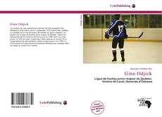 Buchcover von Gino Odjick