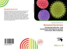 Bangstad Syndrome的封面