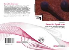 Capa do livro de Benedikt Syndrome 