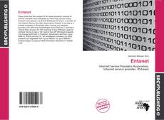 Buchcover von Entanet