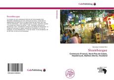 Buchcover von Steenbecque