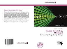 Buchcover von Bagley Township, Michigan