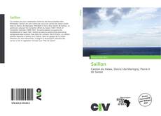 Portada del libro de Saillon