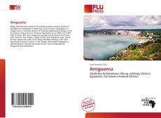 Copertina di Amguema