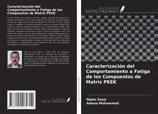 Copertina di Caracterización del Comportamiento a Fatiga de los Compuestos de Matriz PEEK
