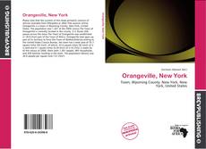 Buchcover von Orangeville, New York