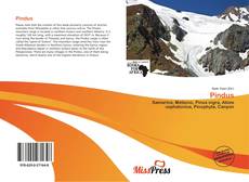 Bookcover of Pindus