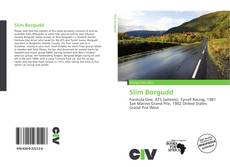 Bookcover of Slim Borgudd