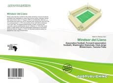 Portada del libro de Windsor del Llano