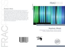 Bookcover of Pesotum, Illinois