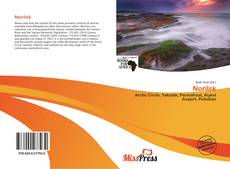 Bookcover of Norilsk