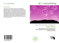 Capa do livro de Saint-Mont 