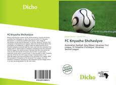 Обложка FC Knyazha Shchaslyve