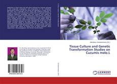Portada del libro de Tissue Culture and Genetic Transformation Studies on Cucumis melo.L