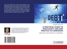 Copertina di A PRACTICAL GUIDE TO INSOLVENCY LAW AND PRACTICE IN CAMEROON