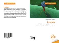 Обложка Exudate