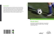 Bookcover of Noah Merl