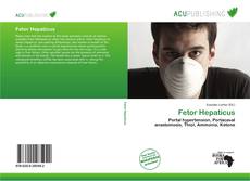 Copertina di Fetor Hepaticus