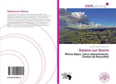 Salaise-sur-Sanne kitap kapağı