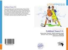 Caldicot Town F.C. kitap kapağı