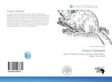 Portada del libro de Castor (Animal)